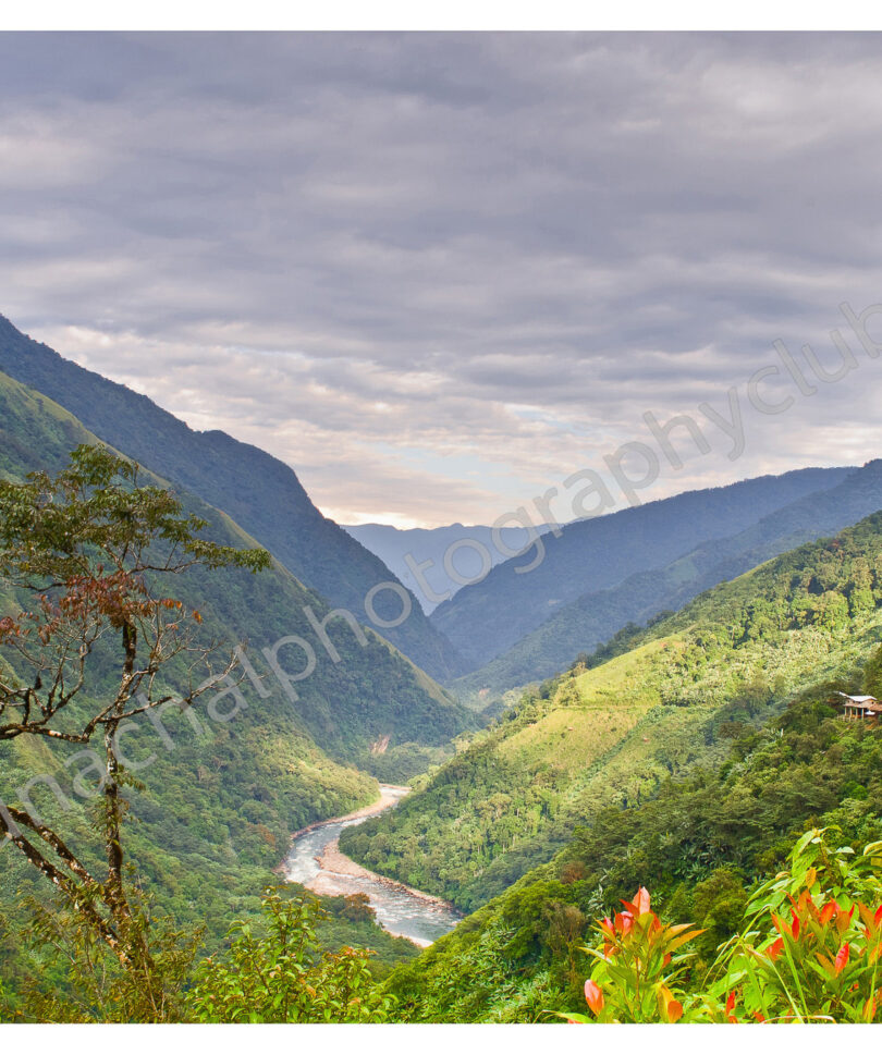 view of irgo village(west siang dist)g_preview